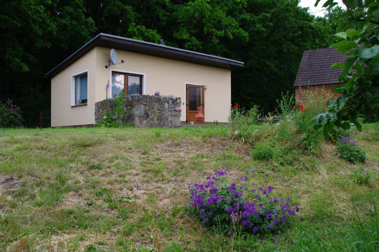 Bungalow Am Forsthaus Stagniess Ückeritz Extérieur photo